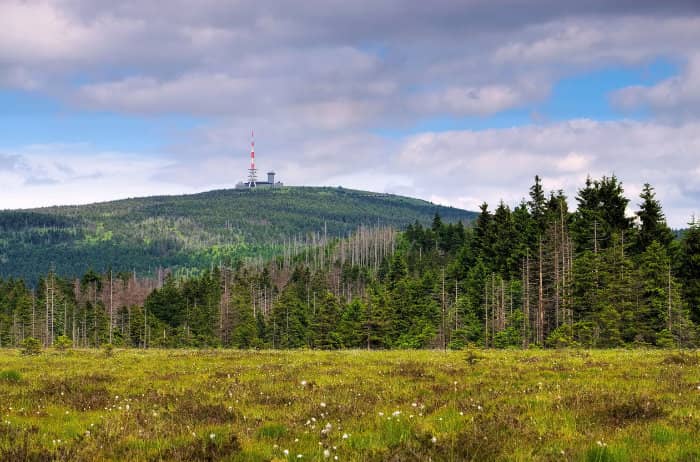 Der Brocken – Hotel Hasselhof (1)