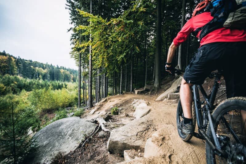 Mountainbike-Hotel-Hasselhof (1)